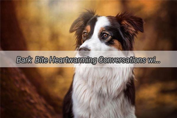 Bark  Bite Heartwarming Conversations with My Furry Friend